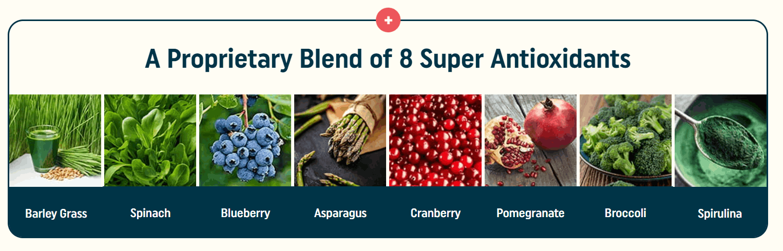 nagano tonic ingredients 